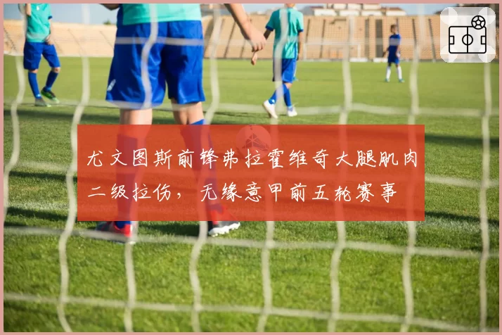 尤文图斯前锋弗拉霍维奇大腿肌肉二级拉伤,无缘意甲前五轮赛事
