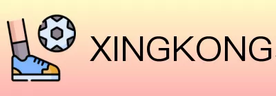 XINGKONG星空体育 Logo